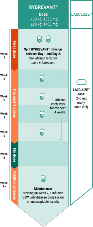 RYBREVANT® (amivantamab) and LAZCLUZE™ dosing timeline