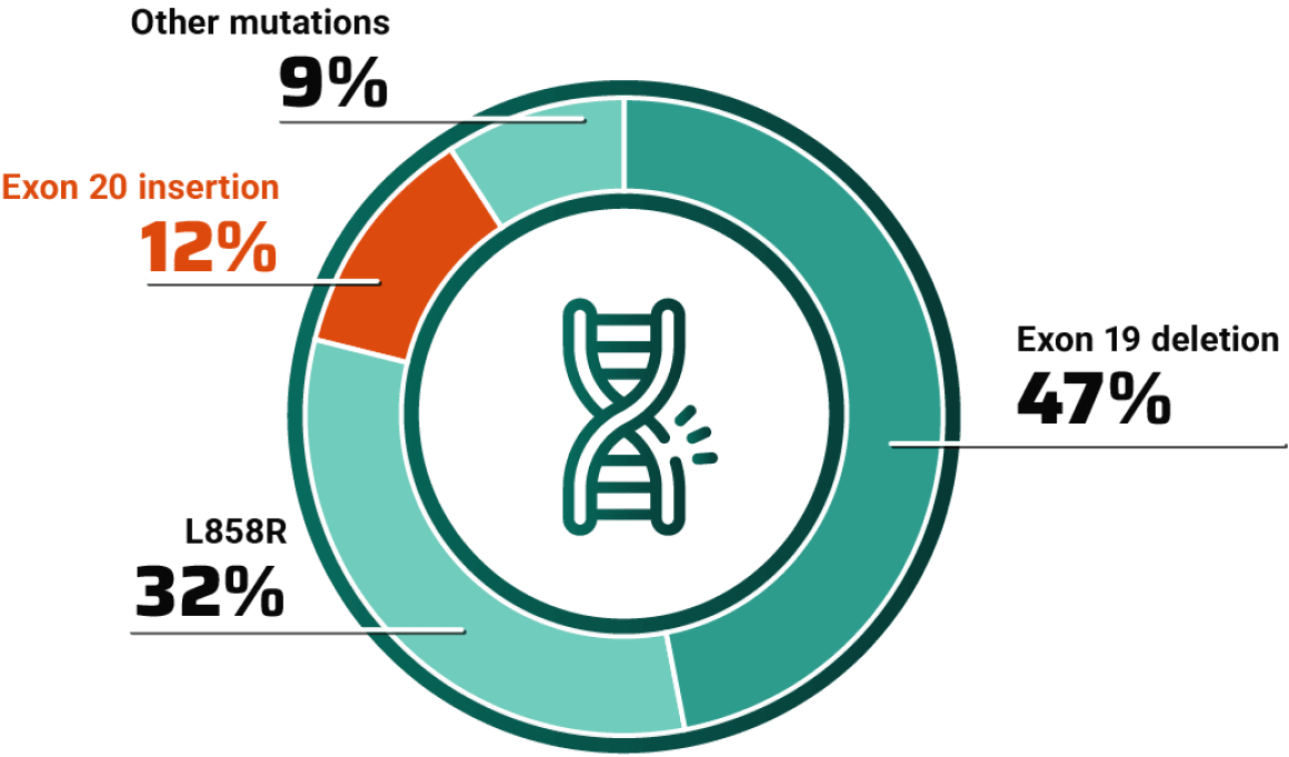 EGFR mutations chart