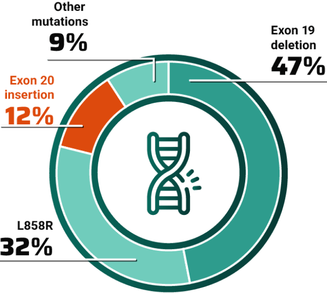 EGFR mutations chart